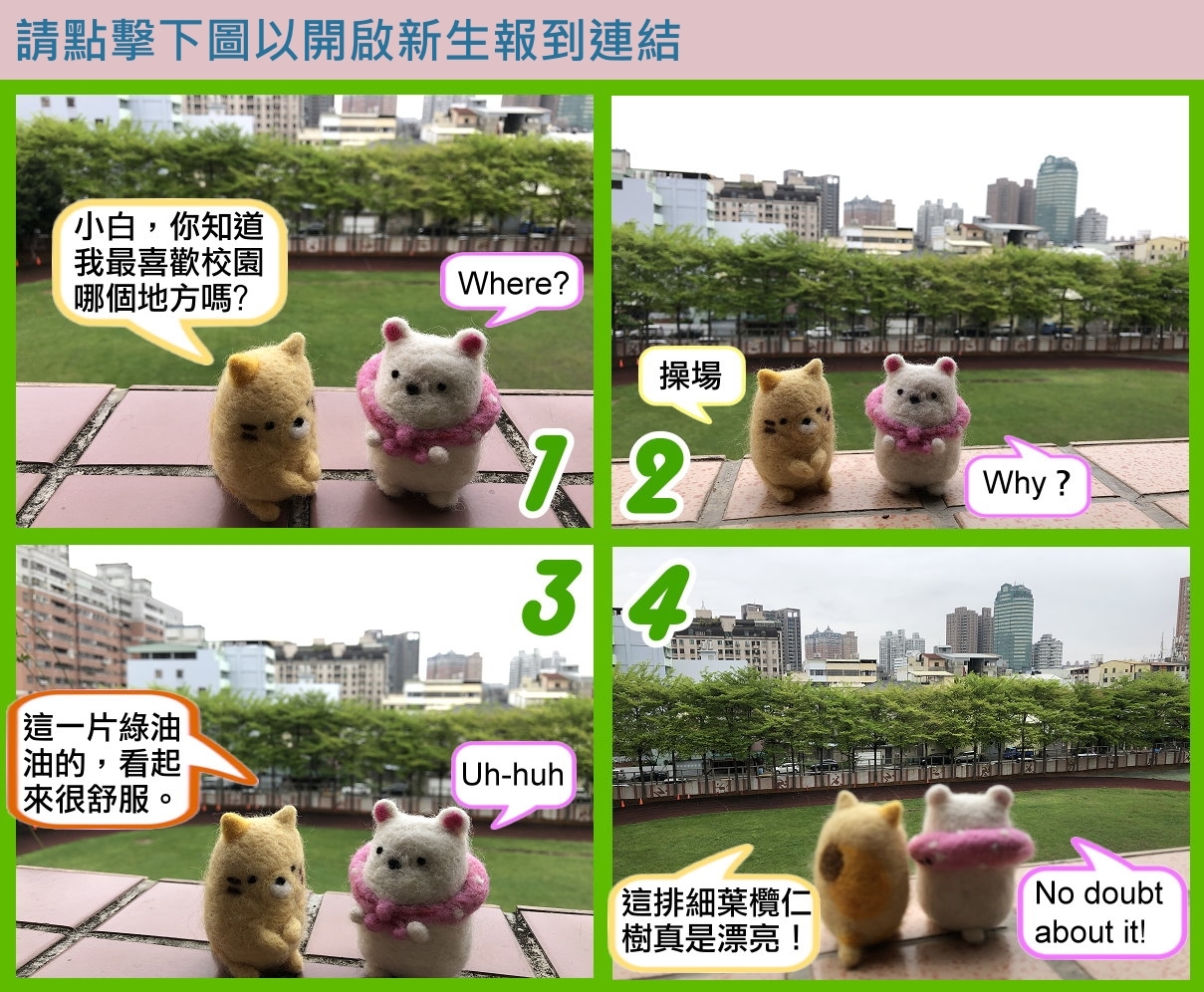 新生報到11圖片